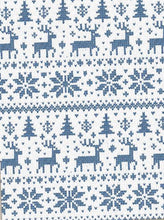 Load image into Gallery viewer, WINTER 26 NORDIC NIGHTS PIMA SPAGHETTI SINGLE PLY