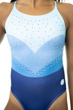 Load image into Gallery viewer, Fall25 5V RHINESTONE BLUE SAPPHIRE Frost
